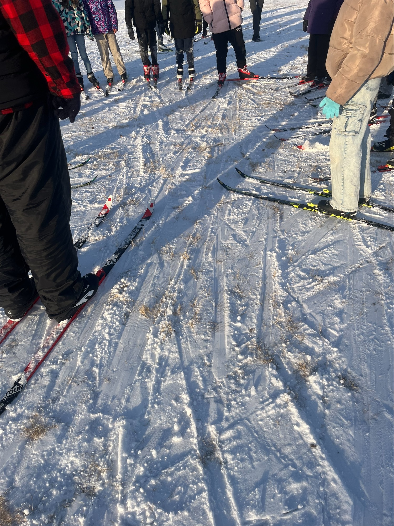 processed C3E6555D 794A 4B99 8E09 3A7814706ACD