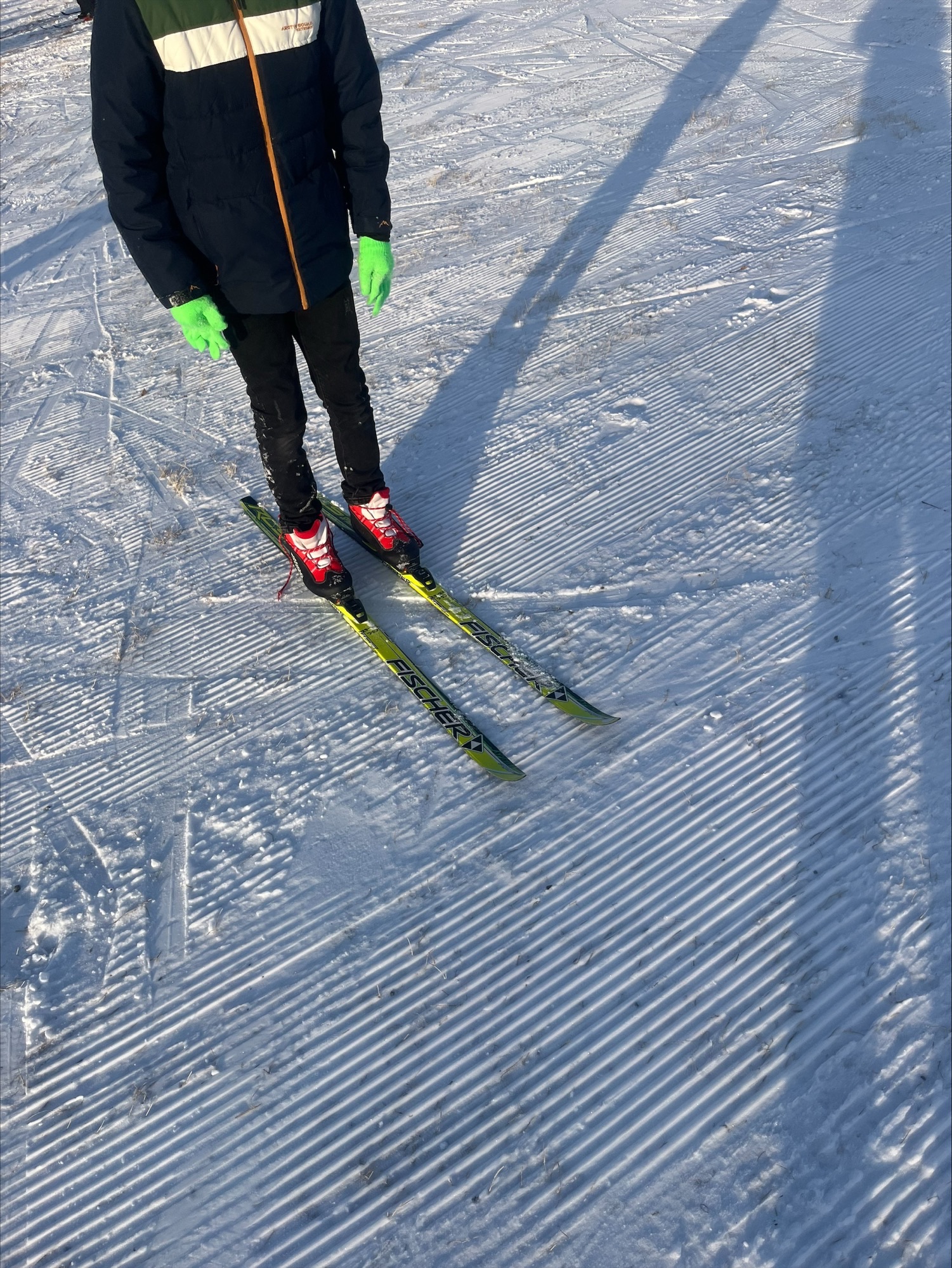 processed CB8F5B15 006B 45A3 B38E A29919CA5B77