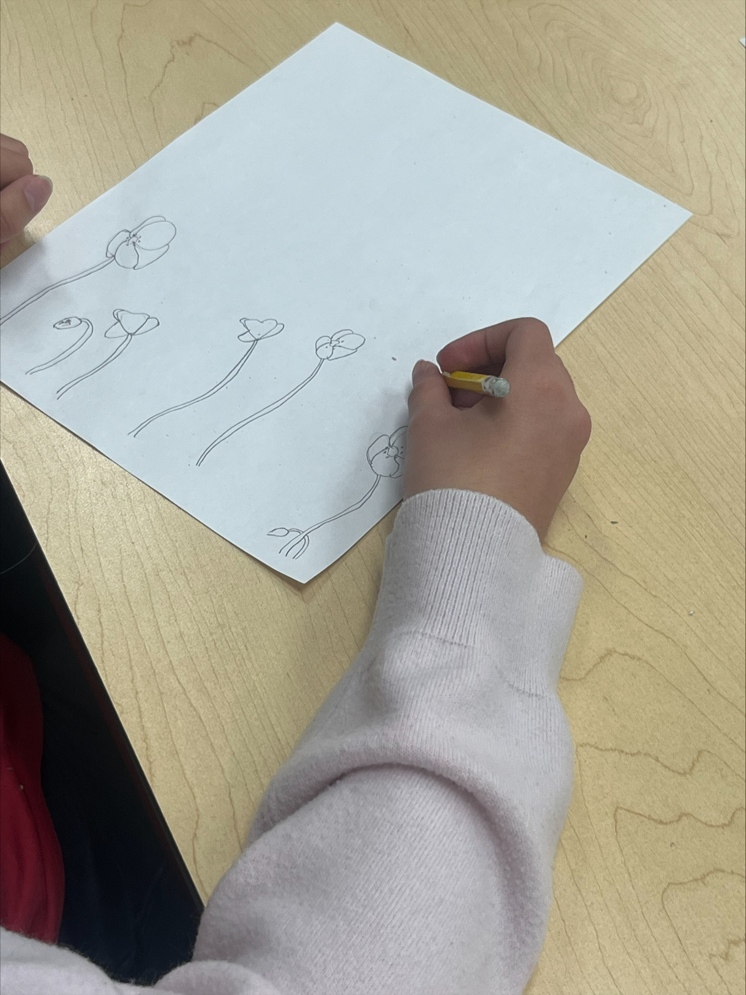 processed 48AE1AD6 49EB 42D5 BECD 290444C7224F