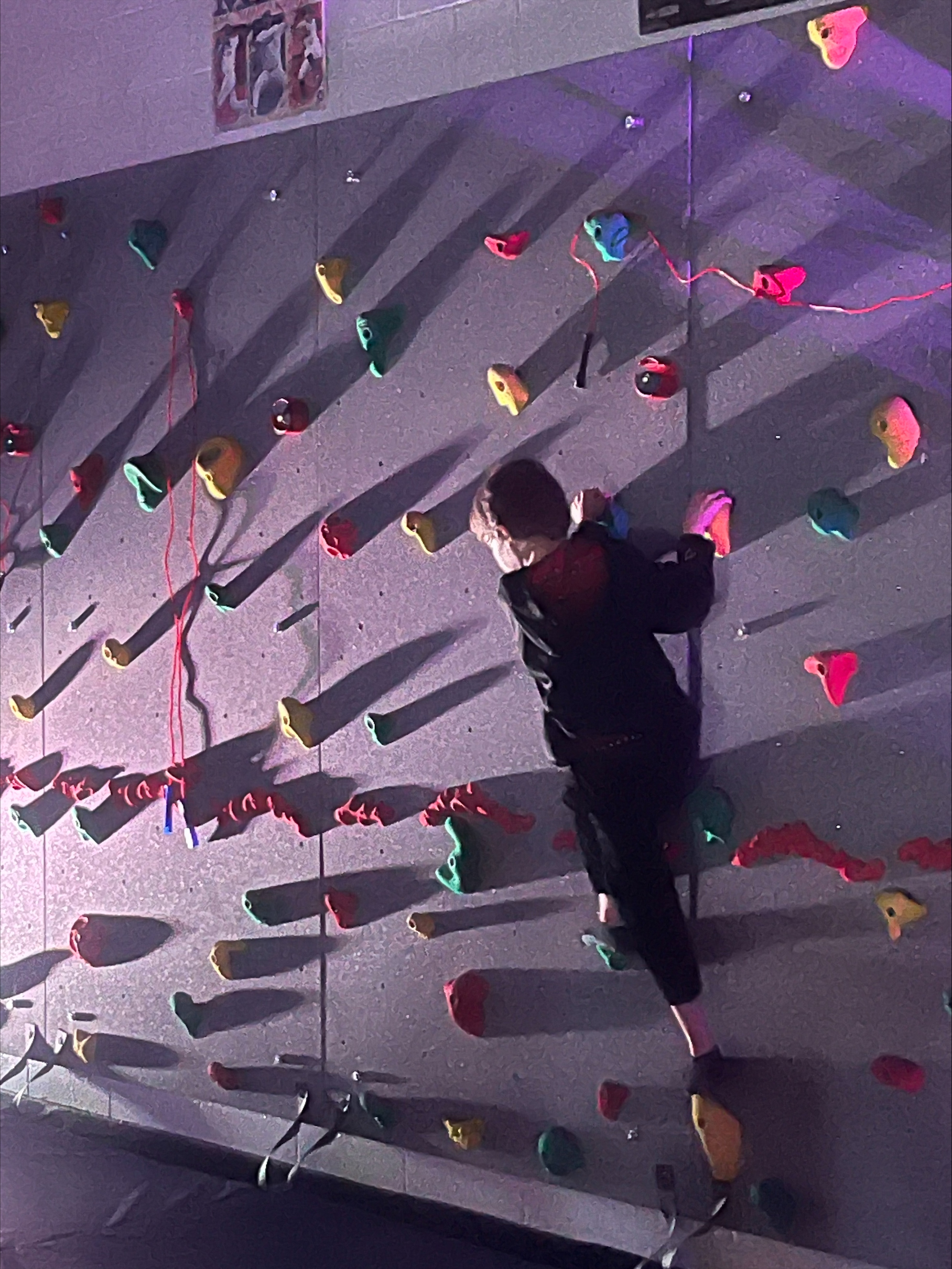 processed 57D214F0 4566 4B74 AED7 08A69336D820